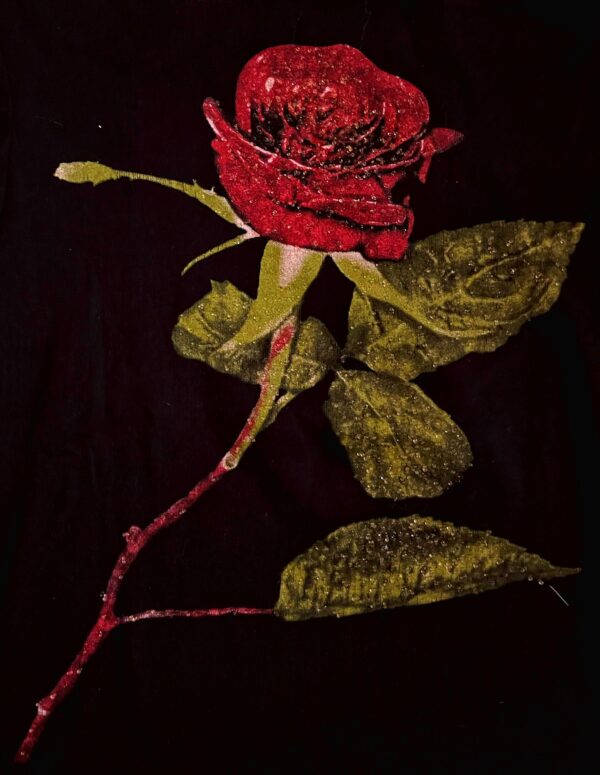 Fekete piros cukros rózsa felső